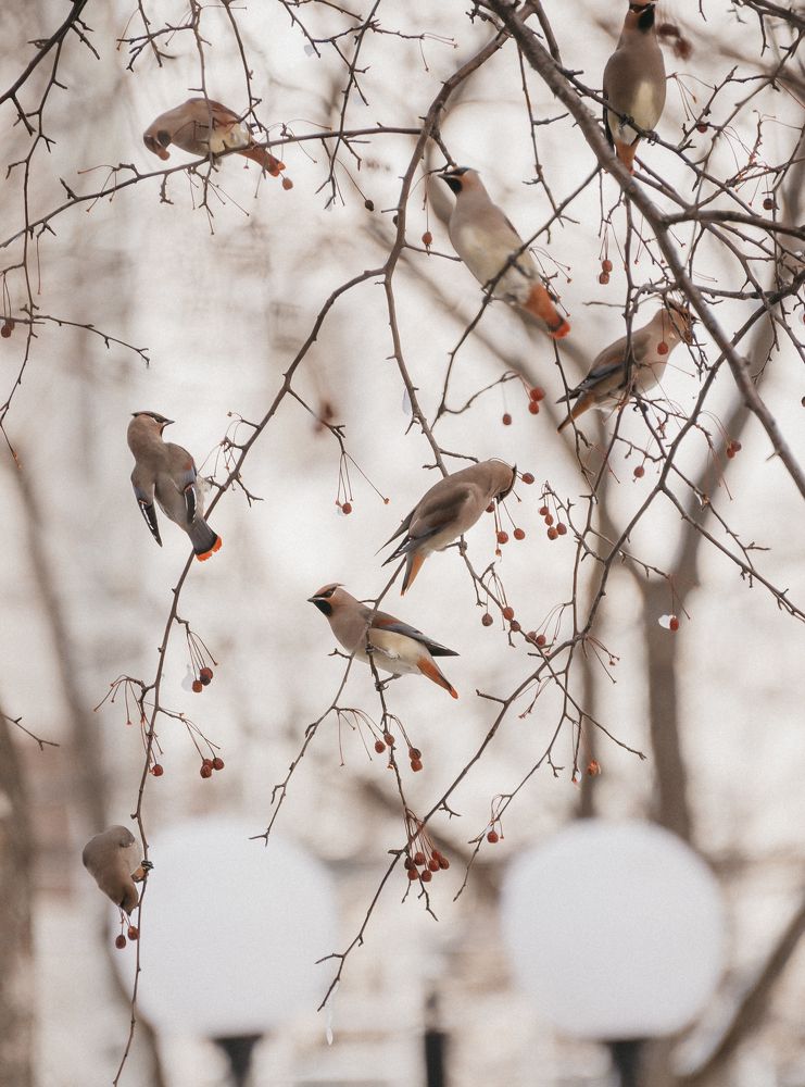 Photograph by Анастасия Мирошникова