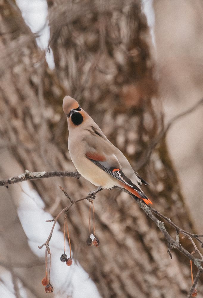 Photograph by Анастасия Мирошникова