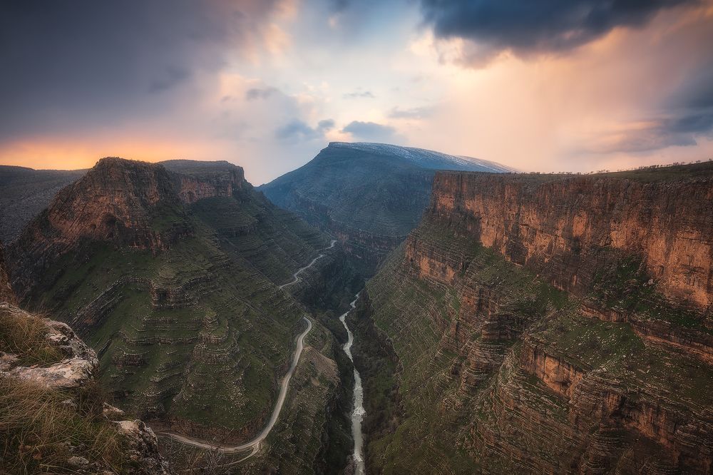 Photograph by Aws Zuhair