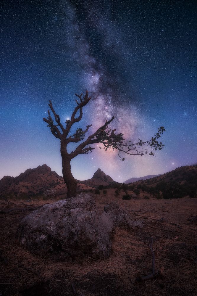 Photograph by Aws Zuhair