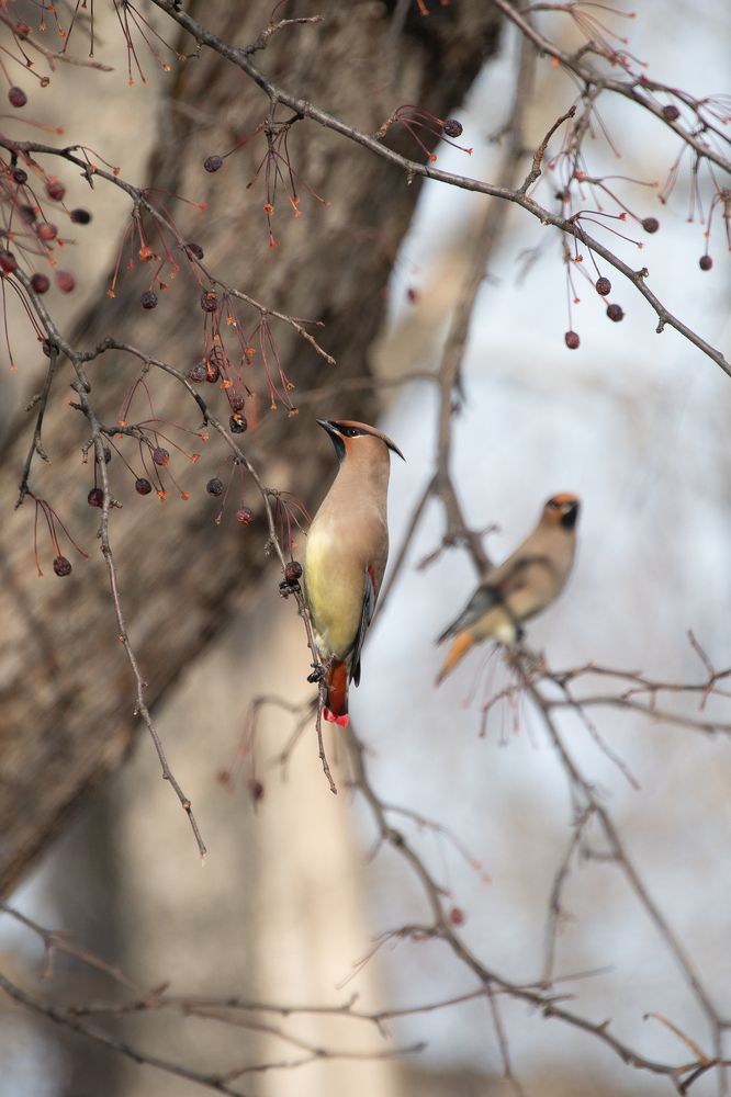 Photograph by Анастасия Мирошникова