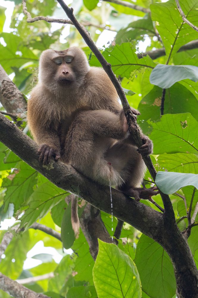 Photograph by Pinak Paul