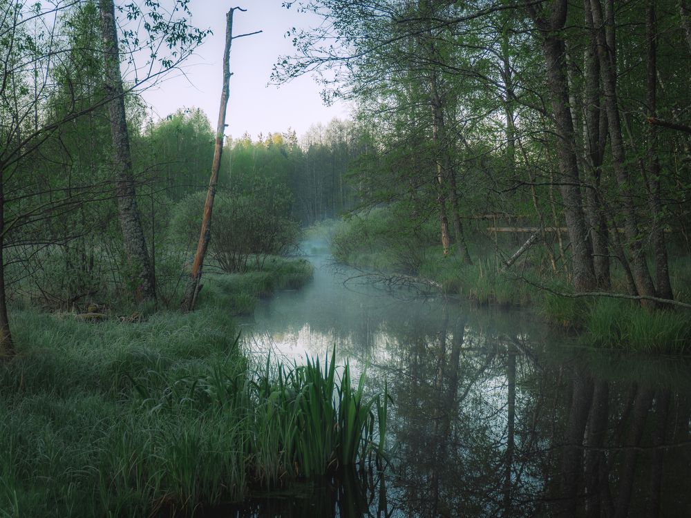 Photograph by Рустам