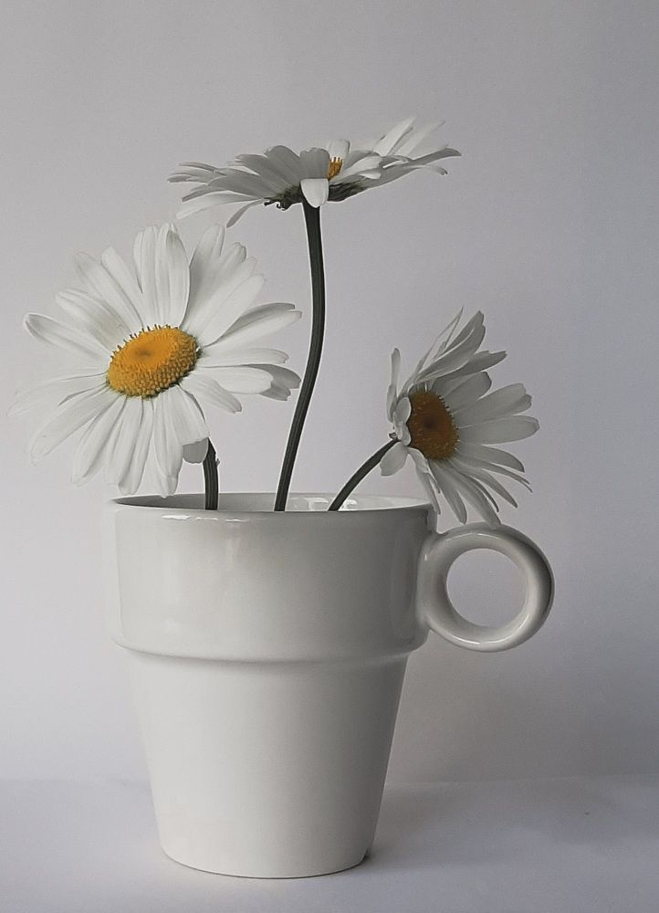 Photograph by Марина Слепова