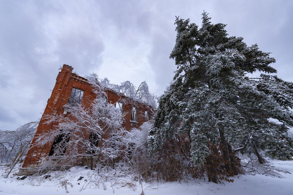 Photograph by Nguyen Nam