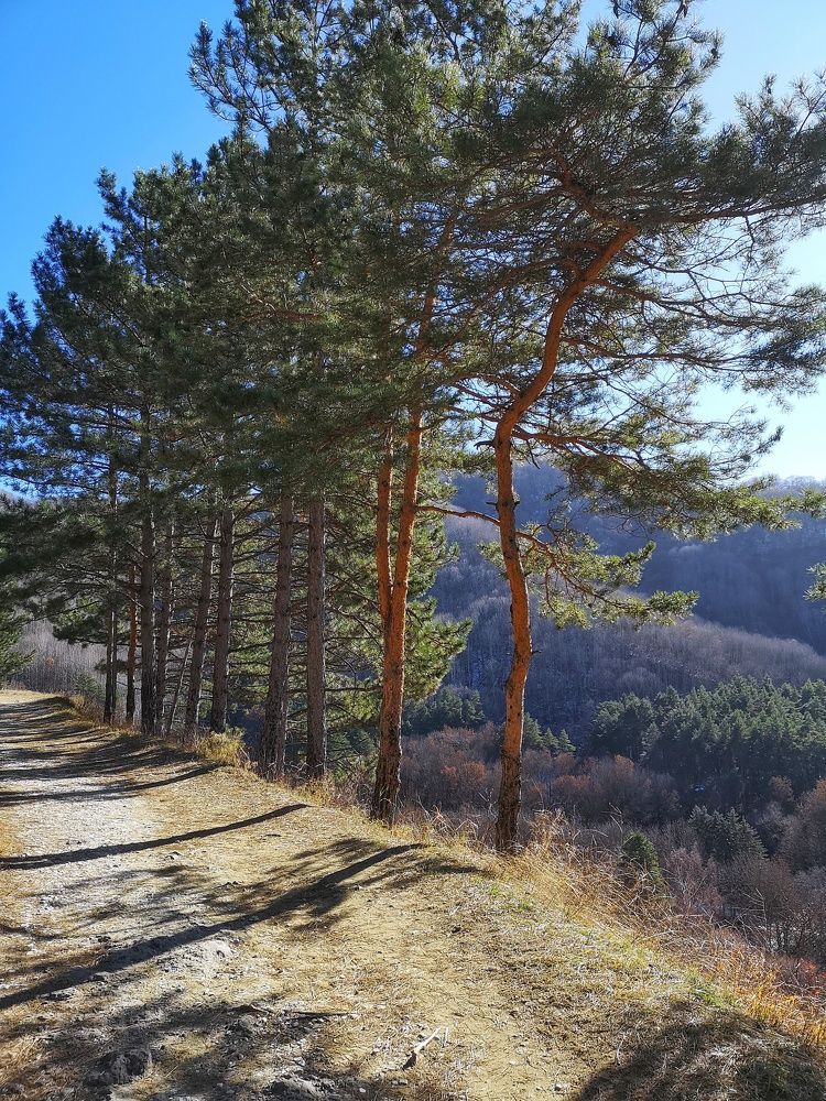 Photograph by Ирина Коновалова