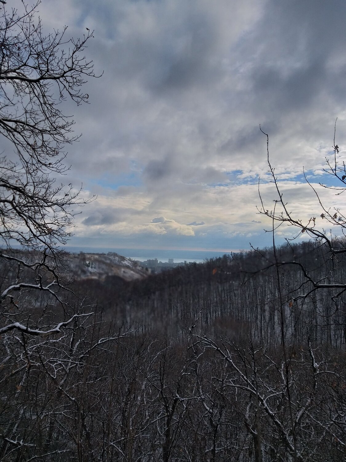 Photo #6791297