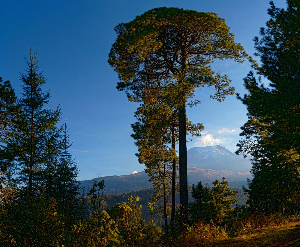 Photograph by Oleg Shuldikaov