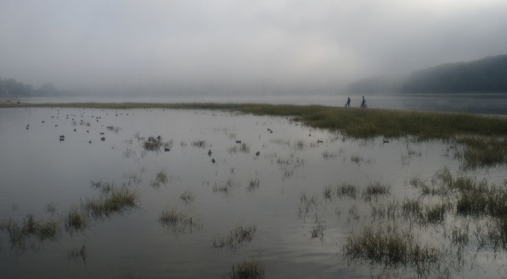 Photograph by Ion Popa