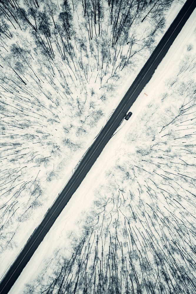 Photograph by Anton Avanzato