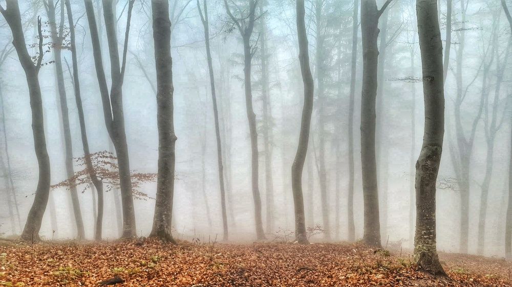 Photograph by Mojca Rebol