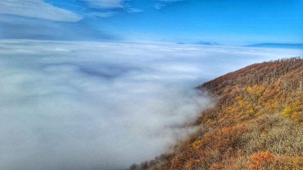 Photograph by Mojca Rebol