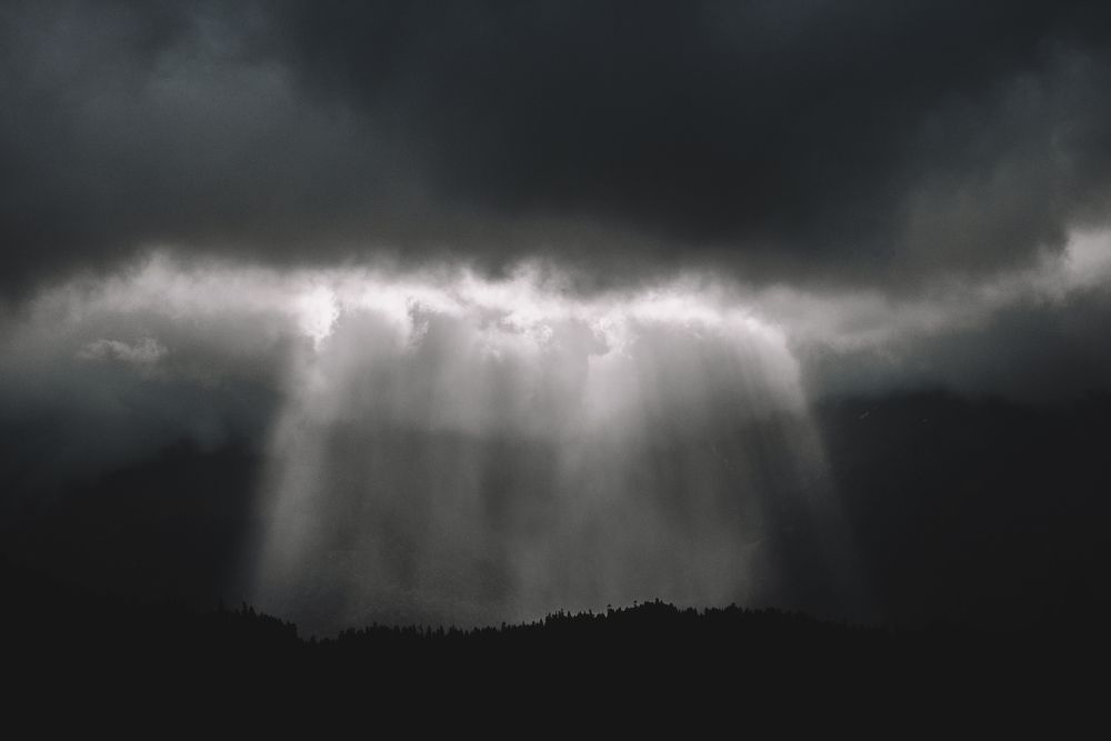 Photograph by Николай Жоржолиани