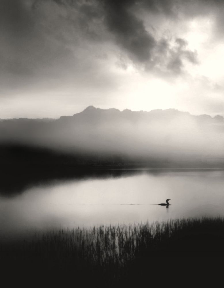 Photograph by Karim Bouchareb