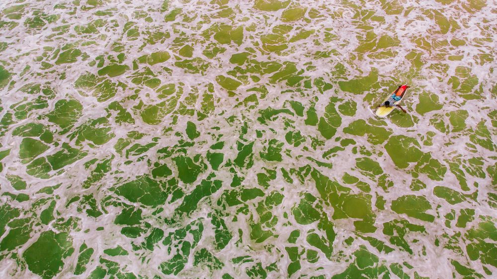 Photograph by Oleg Shuldikaov