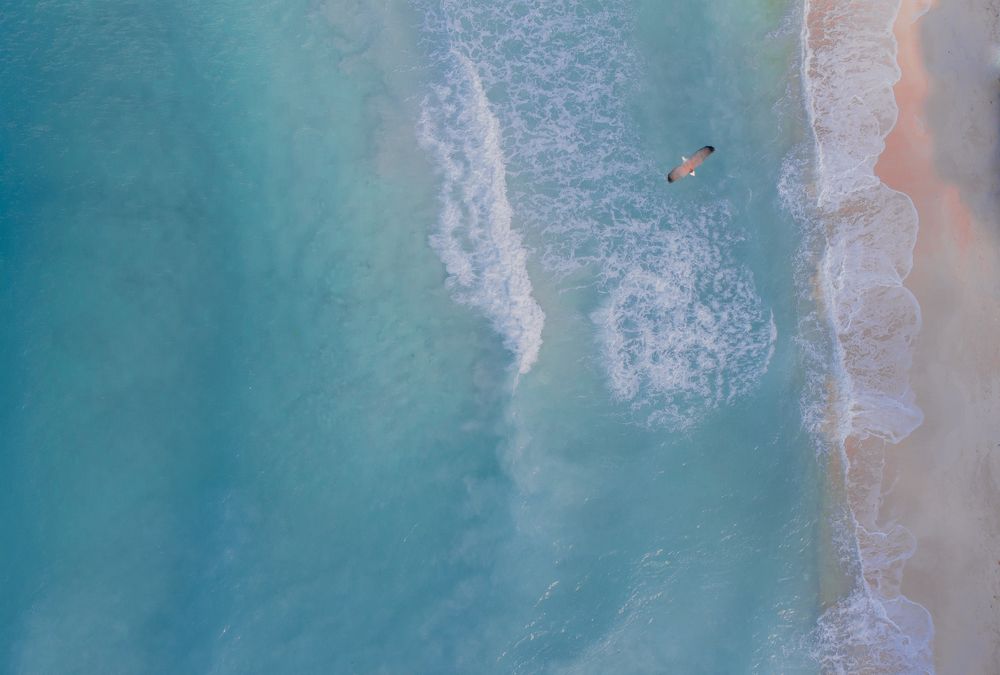 Photograph by Oleg Shuldikaov