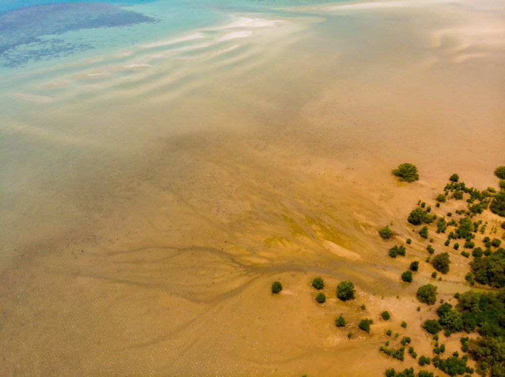 Photograph by Oleg Shuldikaov