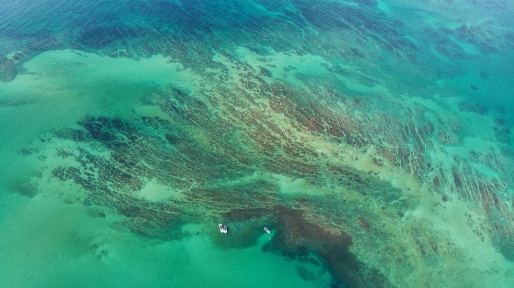 Photograph by Oleg Shuldikaov