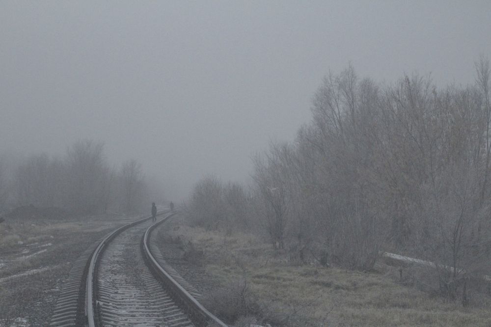 Photograph by Егор Гардин