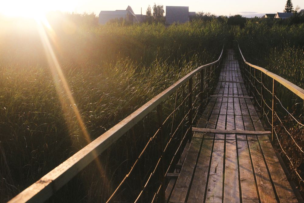 Photograph by Егор Гардин