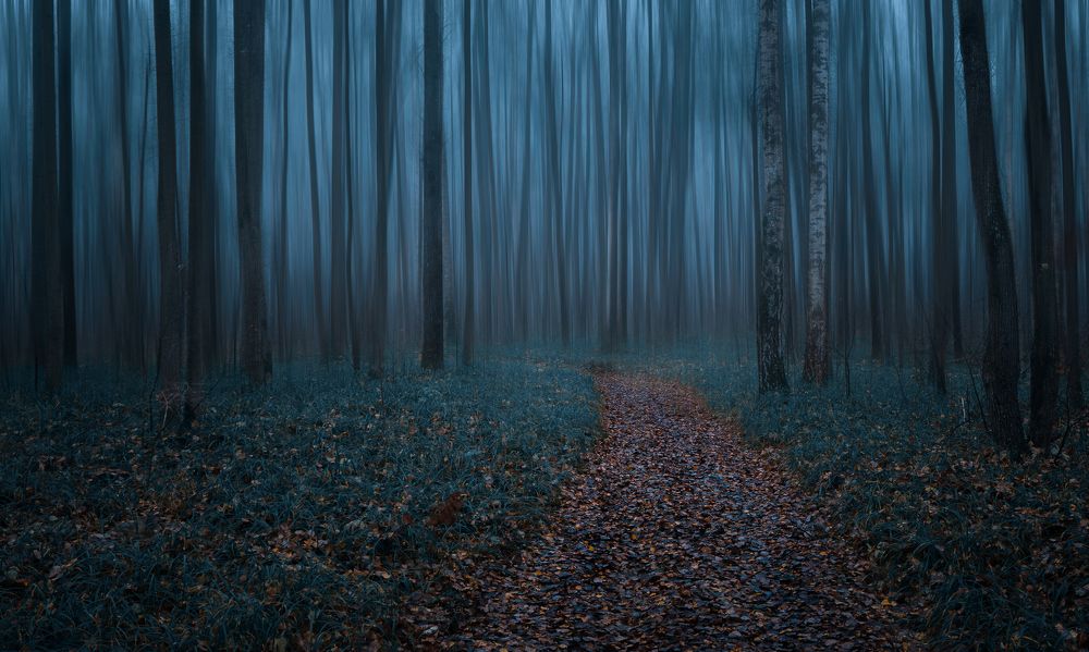 Photograph by Romanov Denis