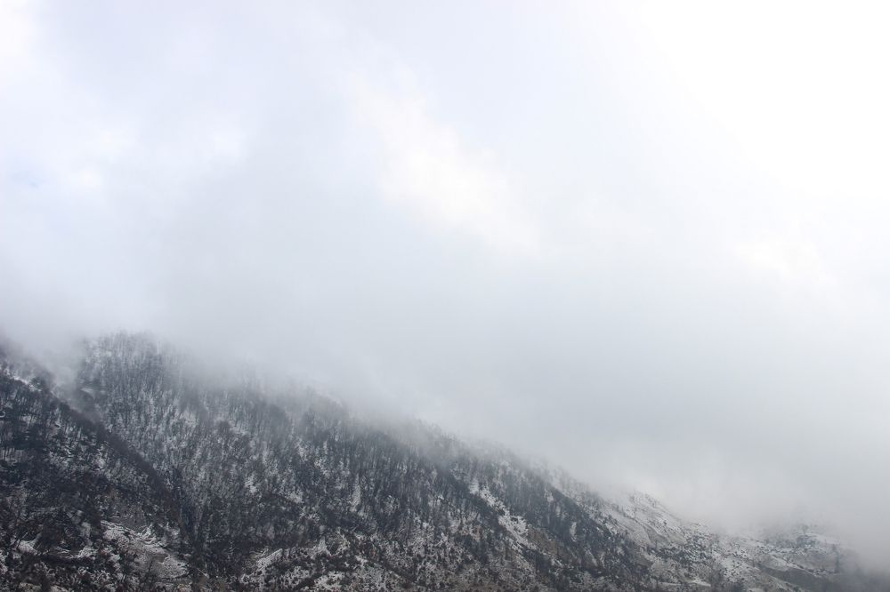 Photograph by Fateme HashemBeygi