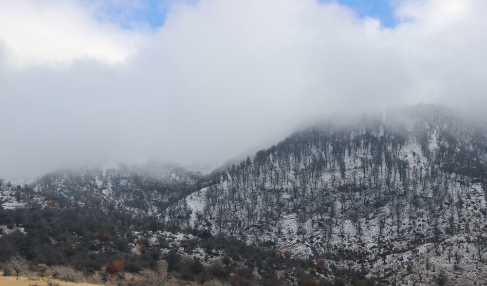 Photograph by Fateme HashemBeygi