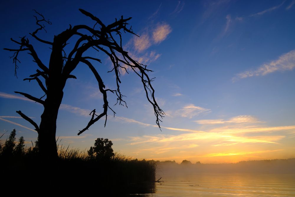 Photograph by Михаил Бронников