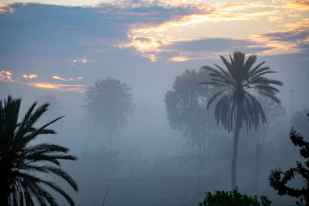 Photograph by Philippe Leten