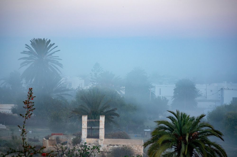 Photograph by Philippe Leten