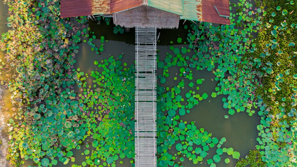 Photograph by Oleg Shuldikaov