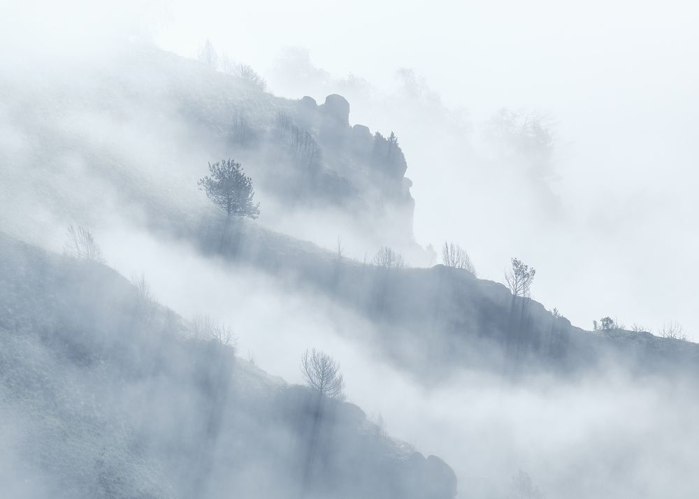 Тени / The Shadows