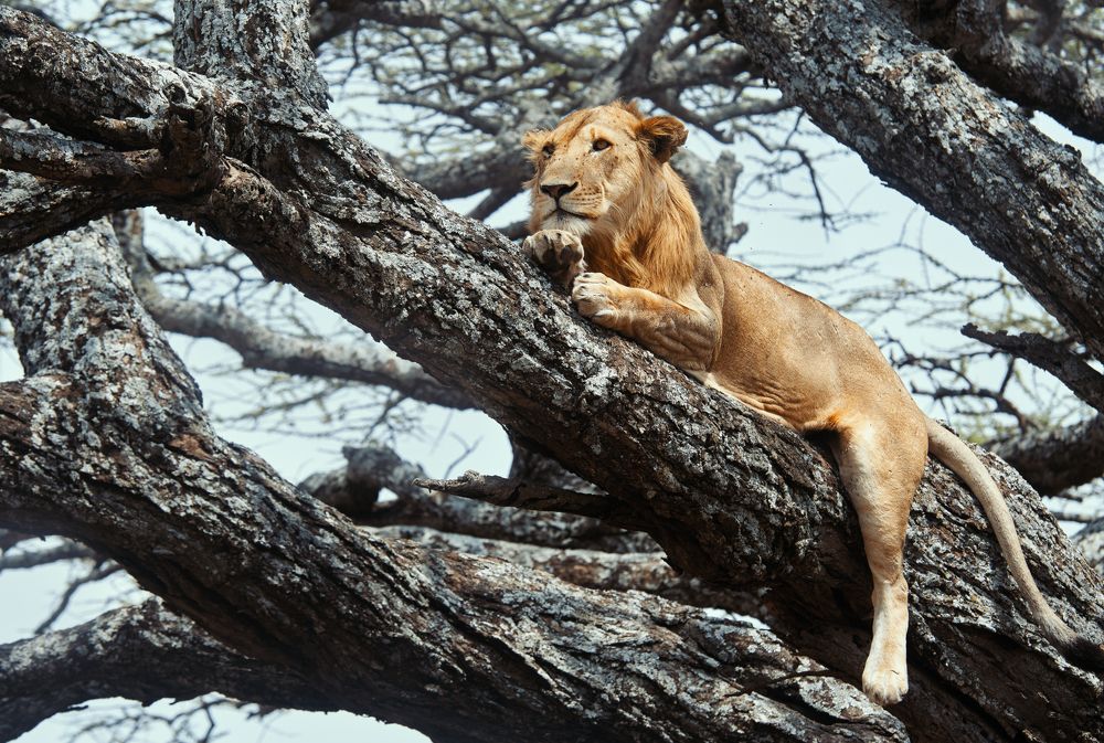 Photograph by Soft Light