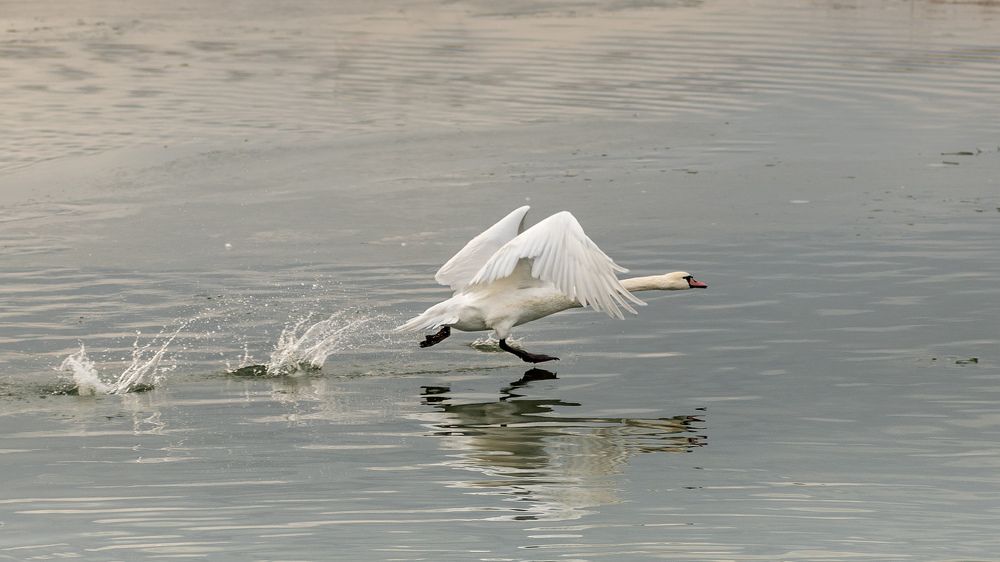 Photograph by Сергей Степанов