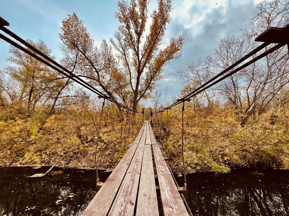 Photograph by Светлана Ткаченко