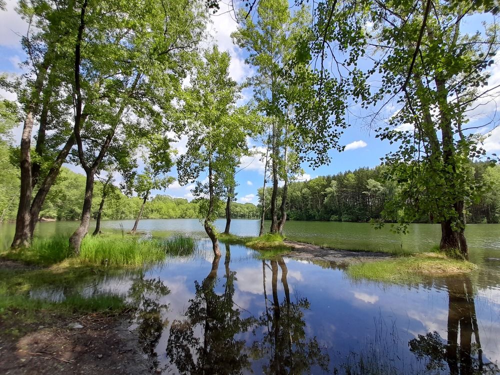Фотография автора Светлана