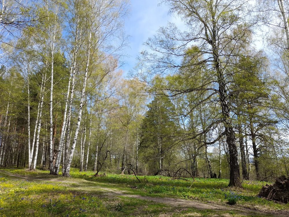 Фотография автора Светлана