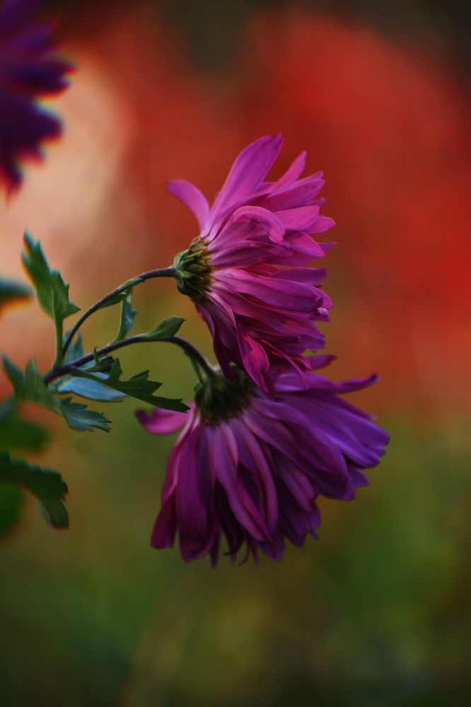 Photograph by Вальваков Александр