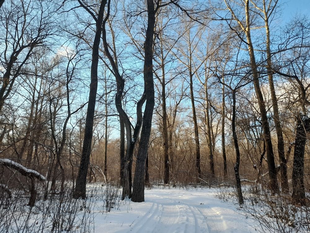 Фотография автора Светлана