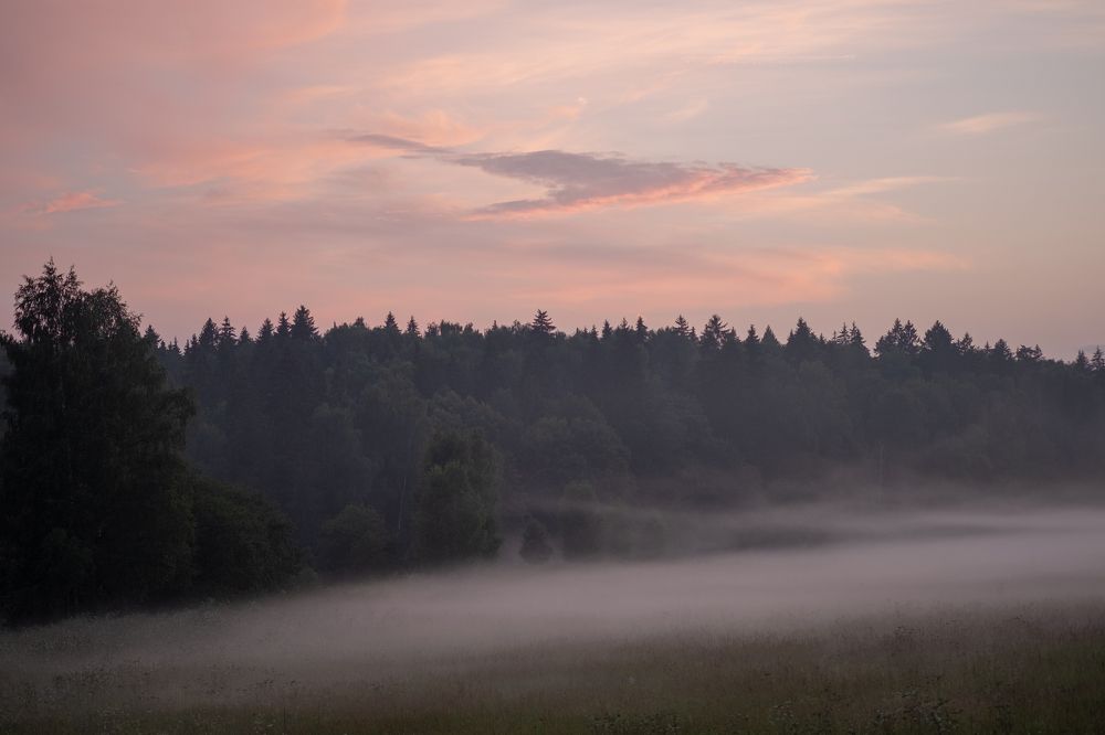 Photograph by Михаил Серебренников