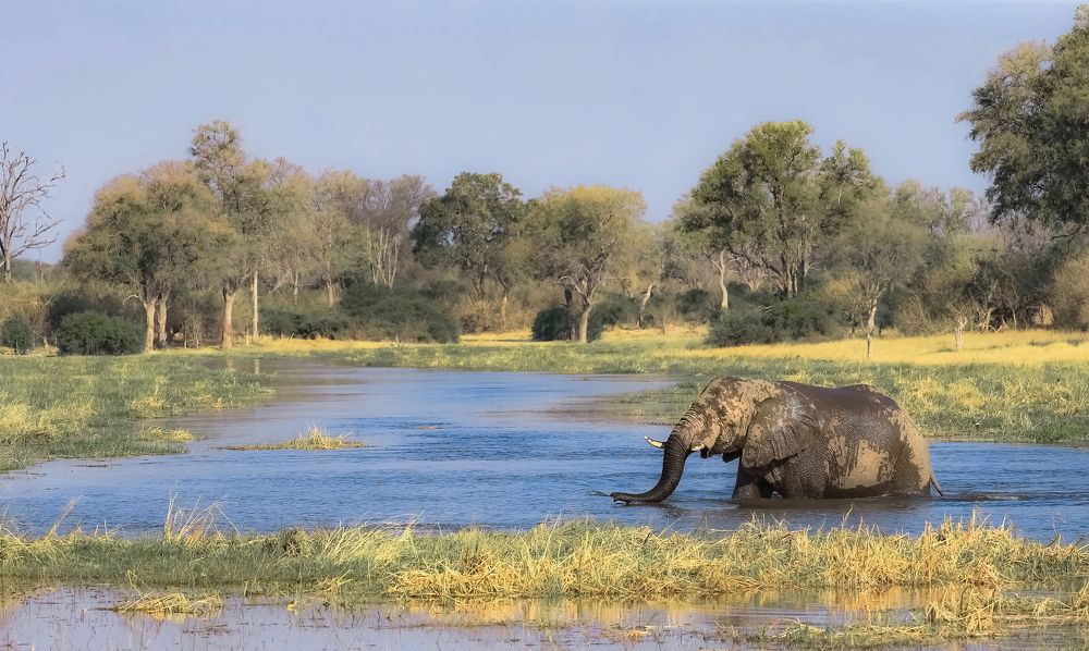 Photograph by THEODORE MATTAS