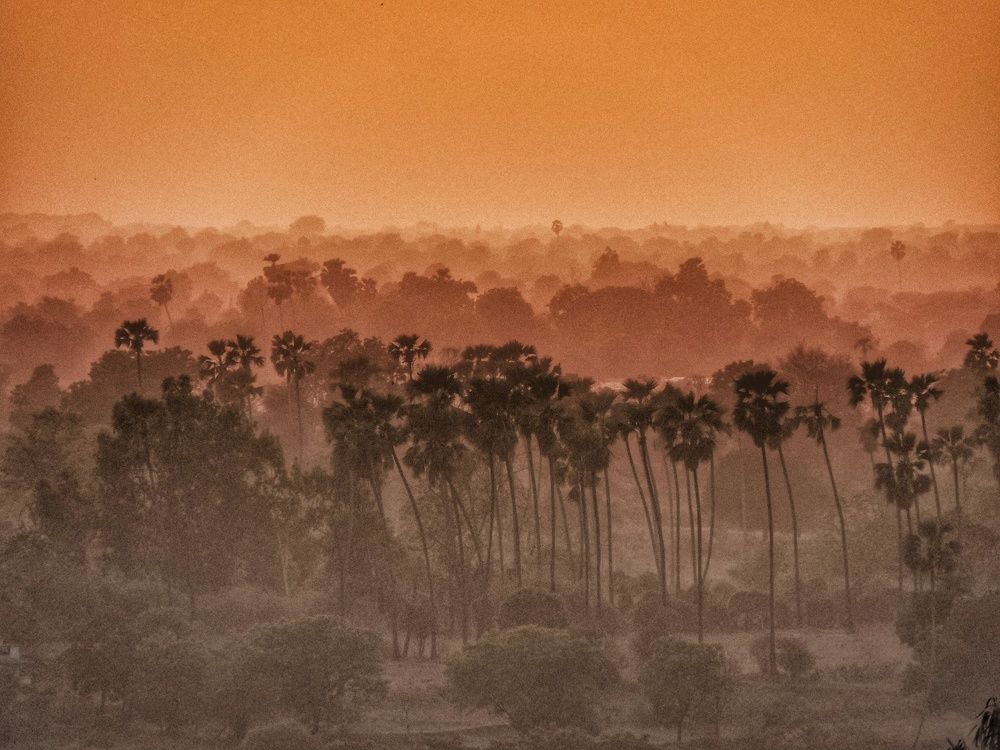 Photograph by Rajan Shah