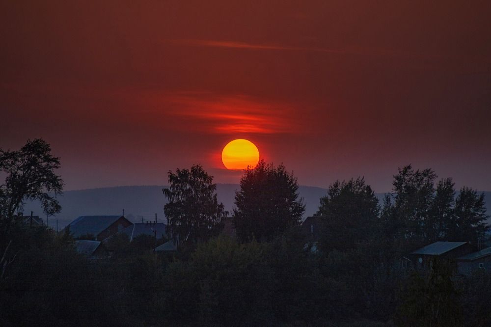 Photograph by Анастасия Глазюк