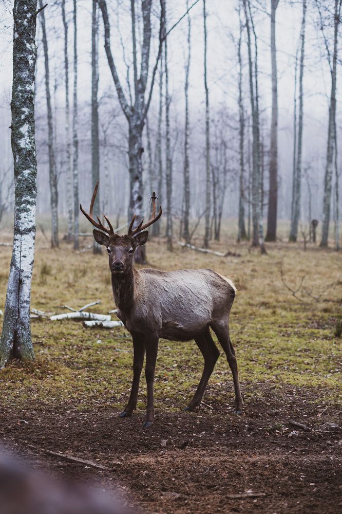 Photograph by Юлия Калугина
