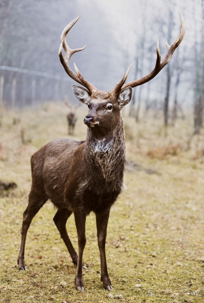 Photograph by Юлия Калугина