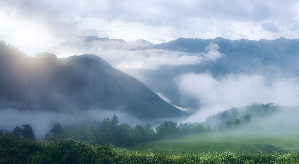 Photograph by Soft Light