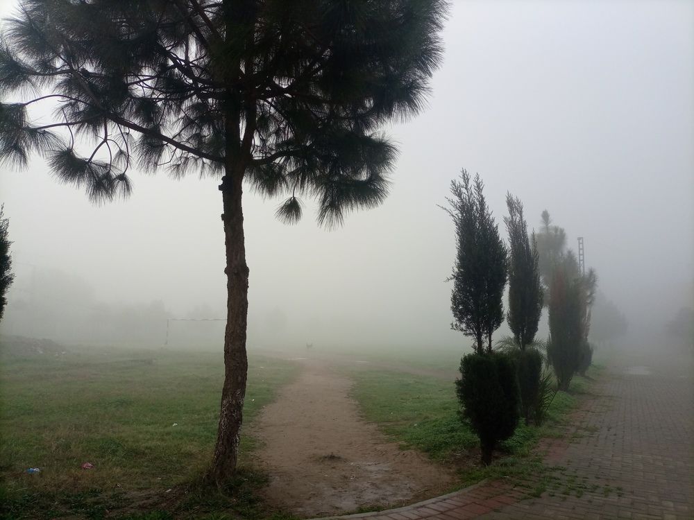Photograph by Wajid ibrahim