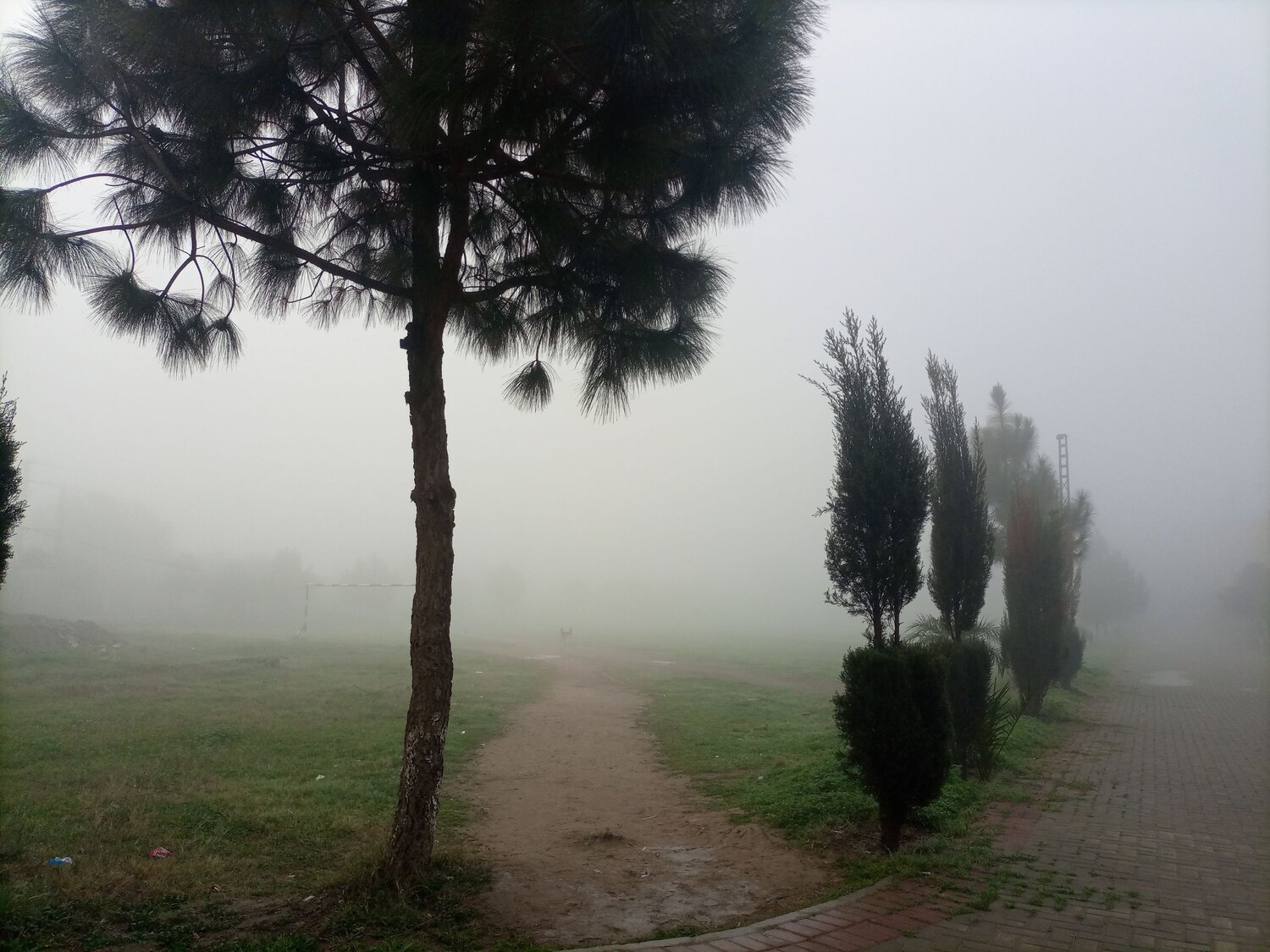 Photo #6792004