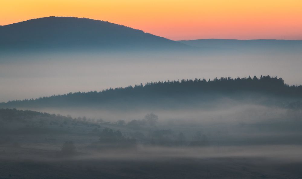 Photograph by Александр Лозицкий