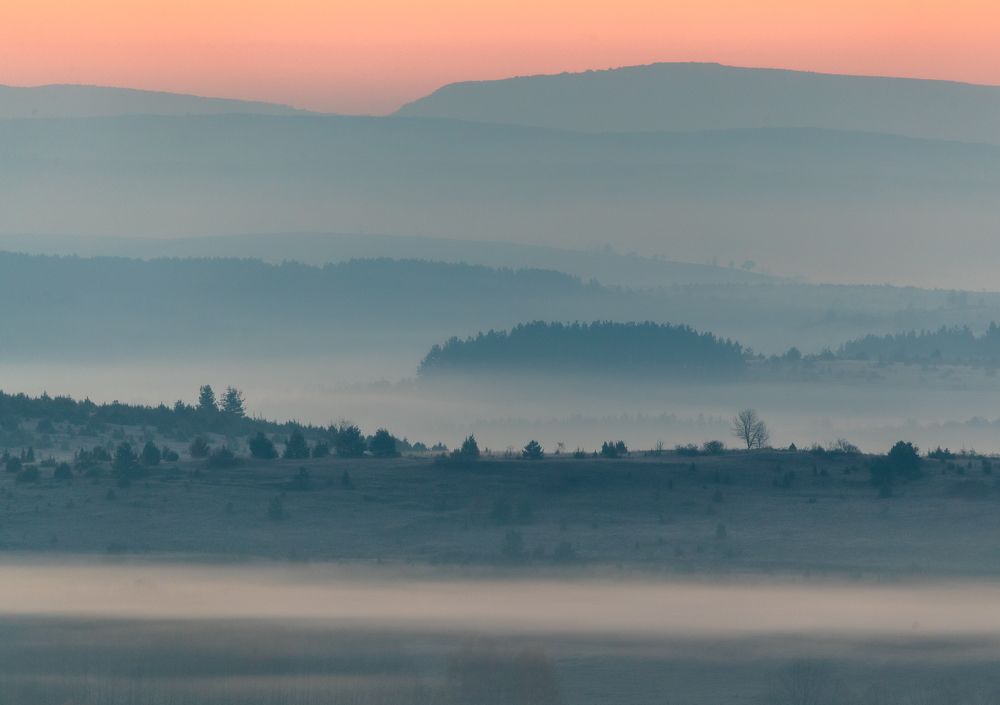 Photograph by Александр Лозицкий